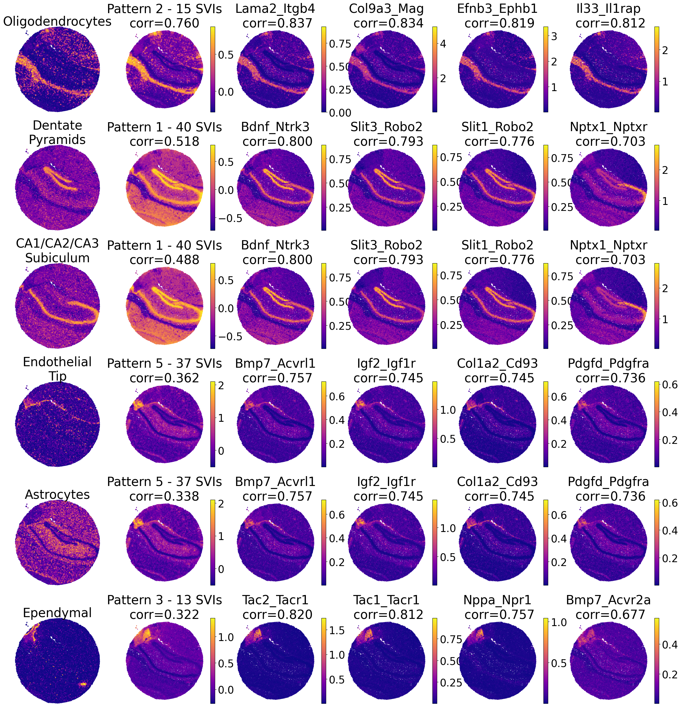 mouse brain dataset analysis Images High Quality Grahic SVI patterns (slide-seq mouse brain dataset) — spider-st v0.0.2 ...